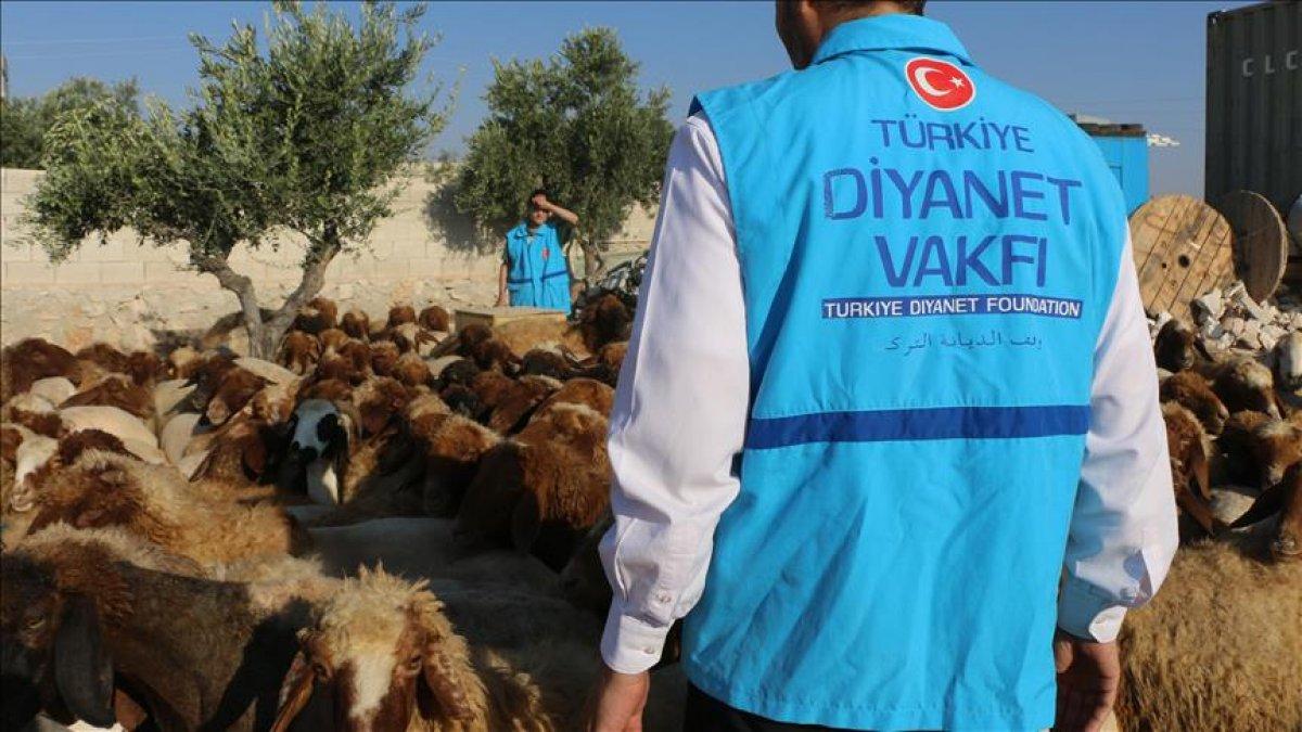 Diyanet kurban kesim fiyatları ne kadar? Yurt içi ve yurt dışı kurban fiyatı 2021