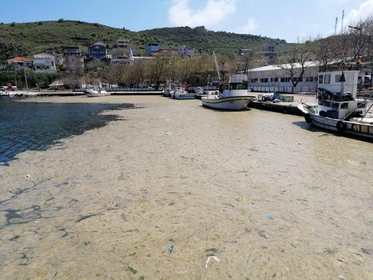 Meclis'te müsilaj için komisyon kuruldu