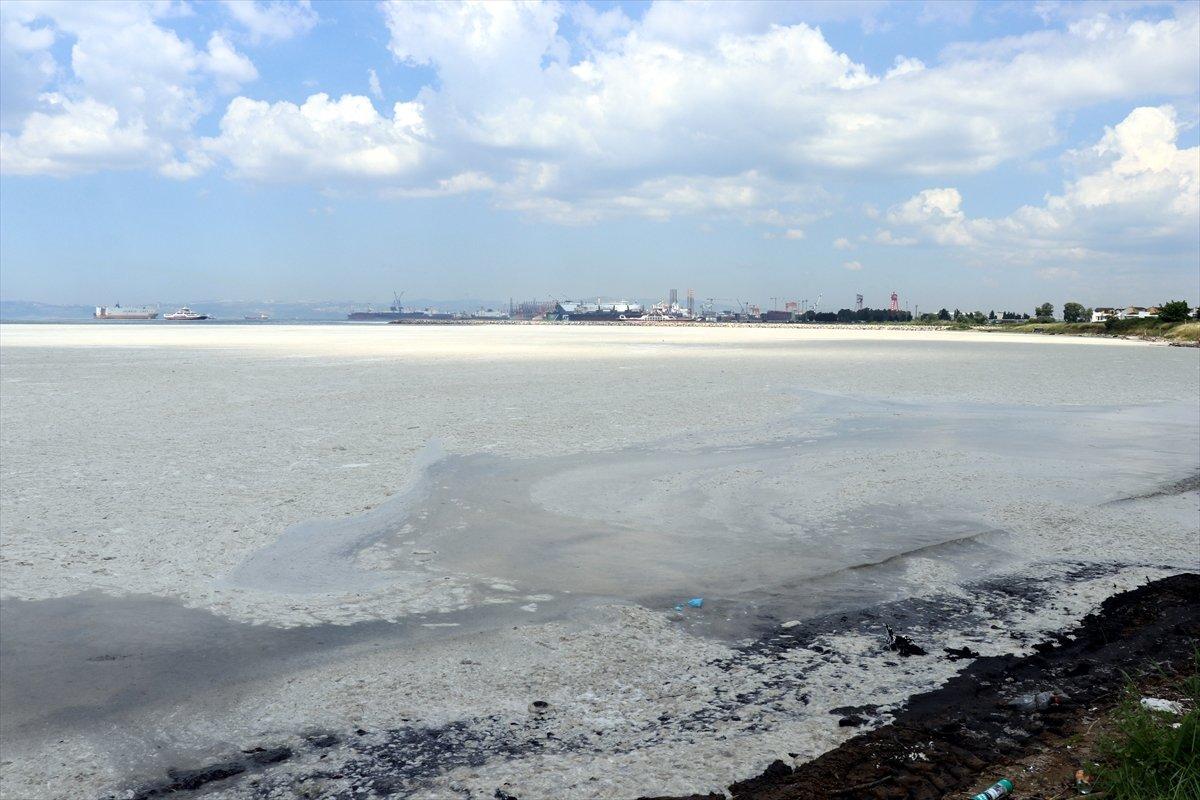 Murat Kurum: İki günde 392 metreküp müsilaj topladık