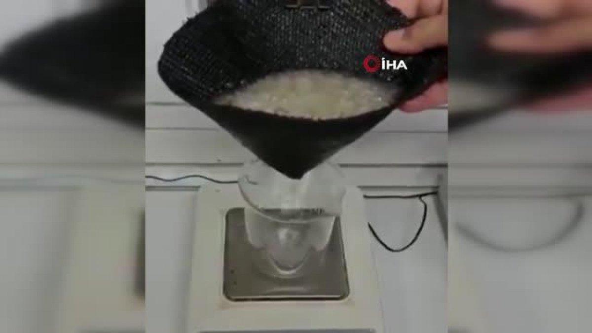 Deniz salyasının laboratuvar ortamında yakından incelenmesi