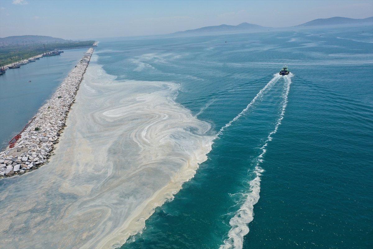 Murat Kurum: İki günde 392 metreküp müsilaj topladık