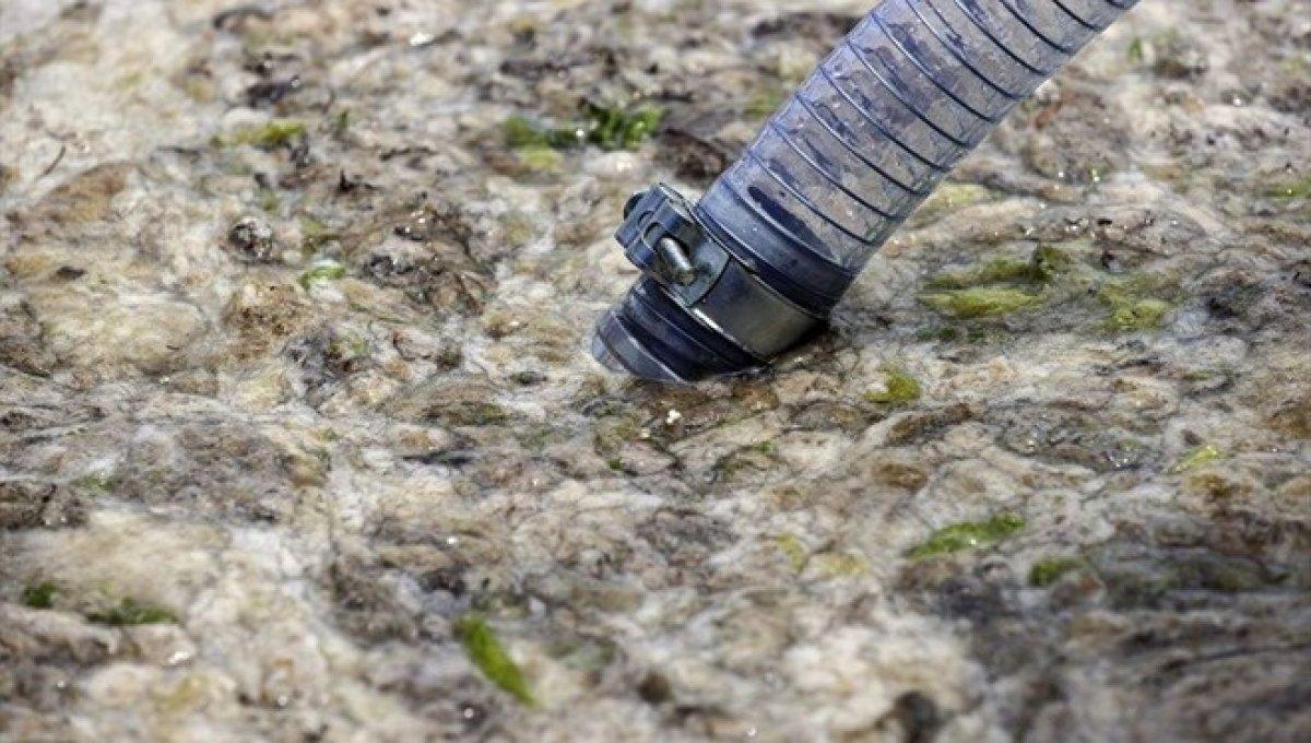 Marmara'dan iki günde 392 metreküp müsilaj toplandı