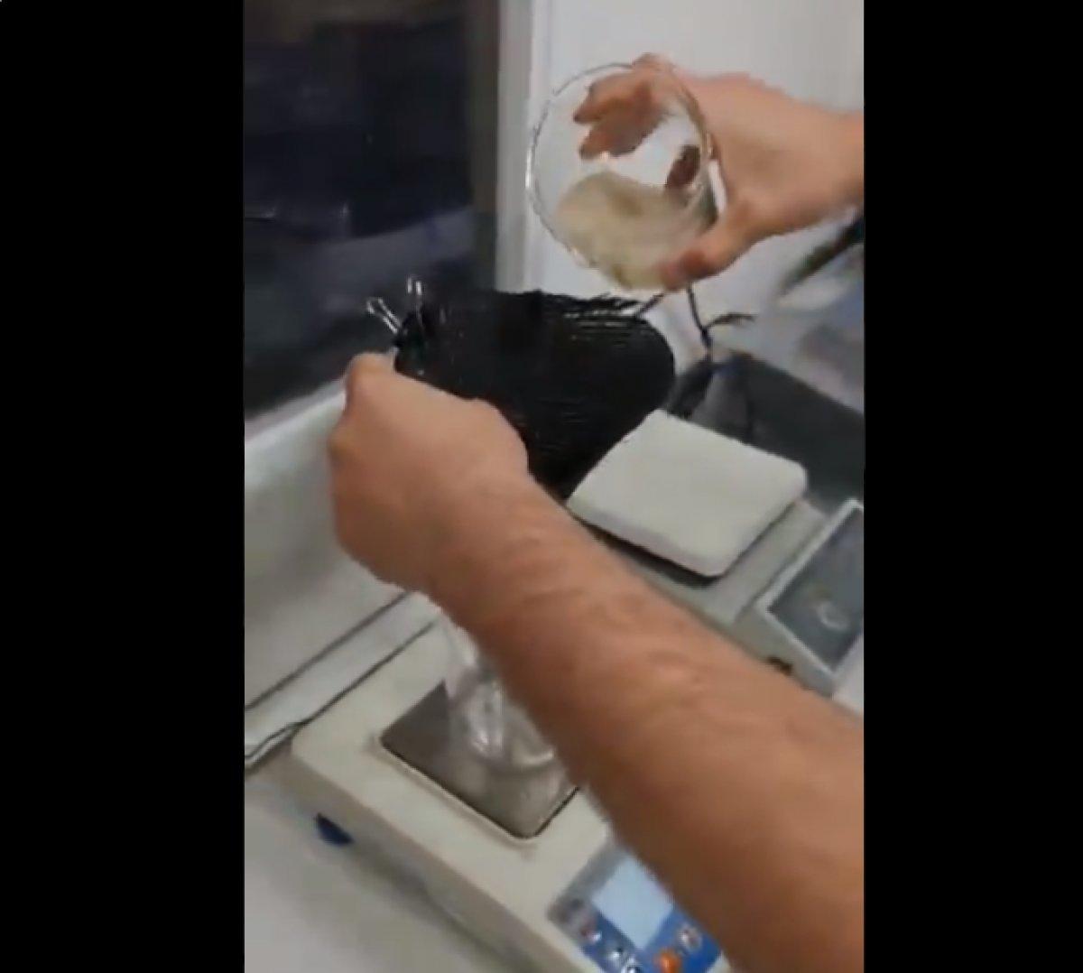 Deniz salyasının laboratuvar ortamında yakından incelenmesi