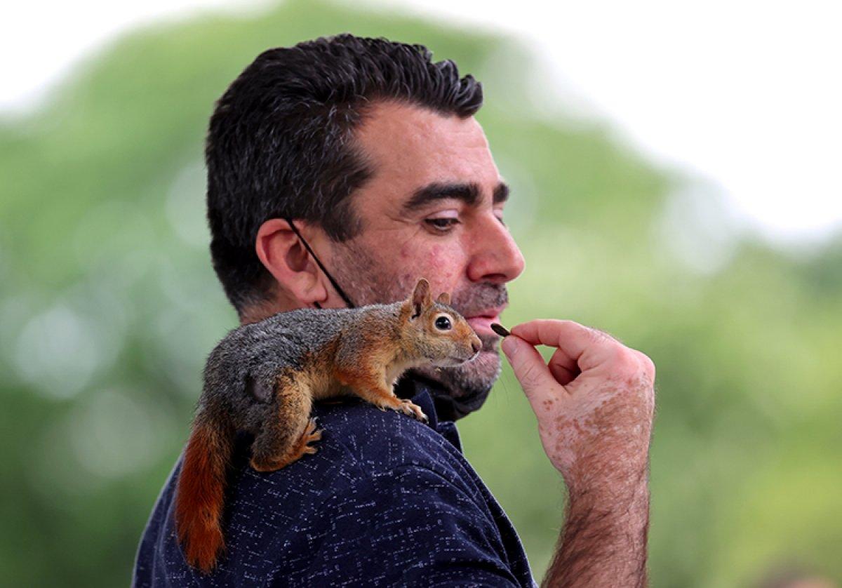 Almanya'dan Türkiye'ye geldi: Baba yadigarı sincapla İstanbul'u geziyor