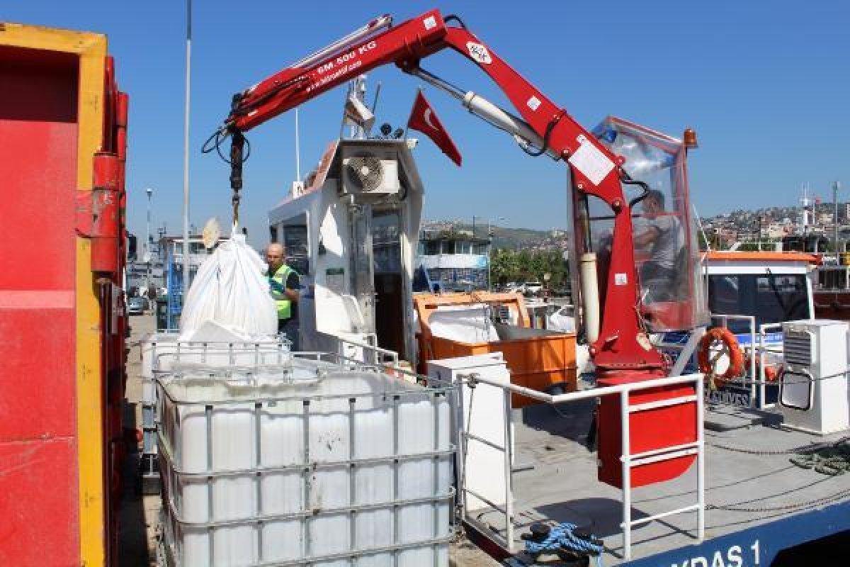 İzmit Körfezi'nde müsilaj temizlendi, balıkçılar açıldı