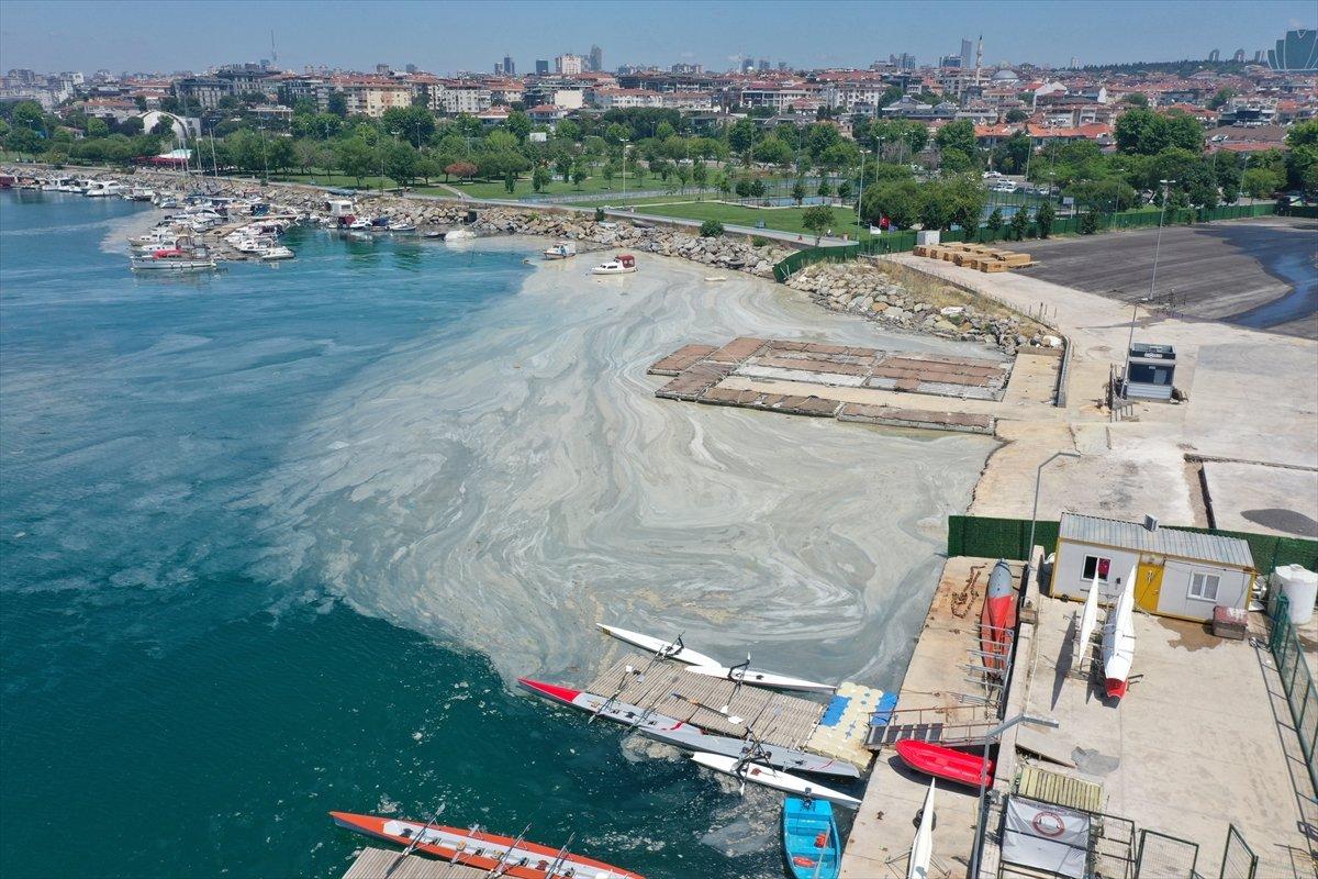 Murat Kurum: İki günde 392 metreküp müsilaj topladık