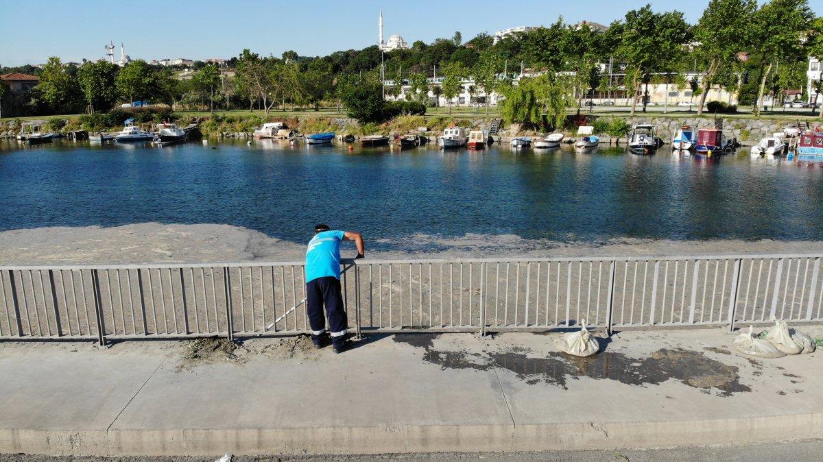 İstanbul'da bir yandan müsilaj temizliği, bir yandan deniz keyfi