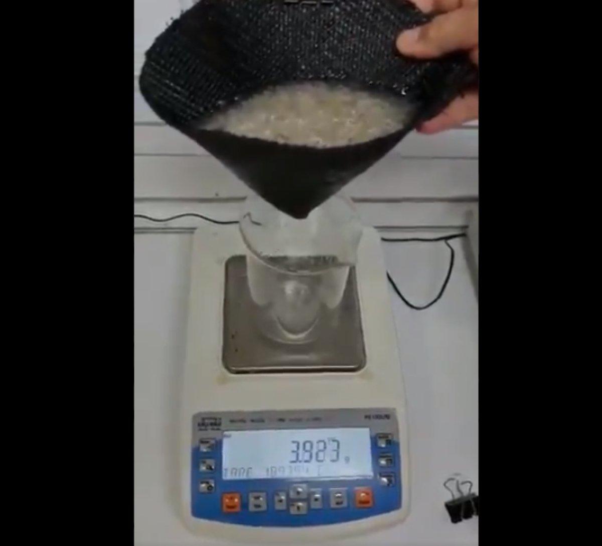 Deniz salyasının laboratuvar ortamında yakından incelenmesi