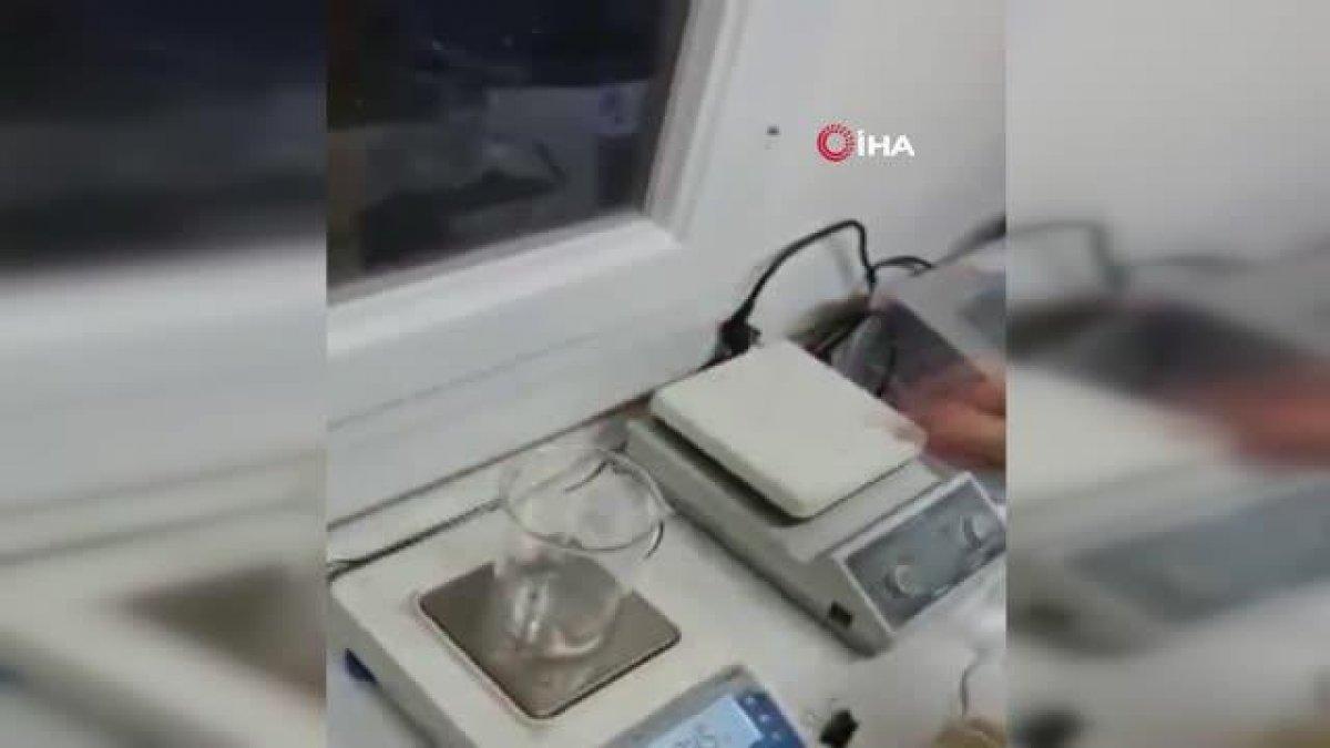 Deniz salyasının laboratuvar ortamında yakından incelenmesi