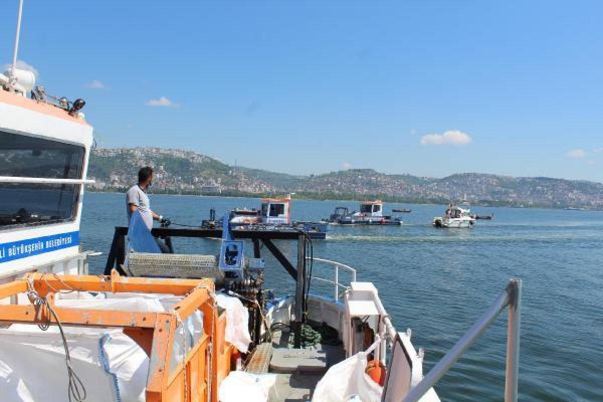 İzmit Körfezi'nde müsilaj temizlendi, balıkçılar açıldı
