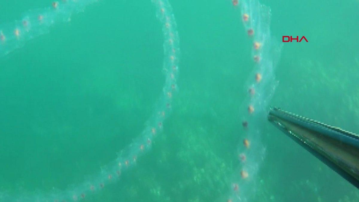 Kocaeli'de müsilajın denizaltındaki tahribatı görüntülendi