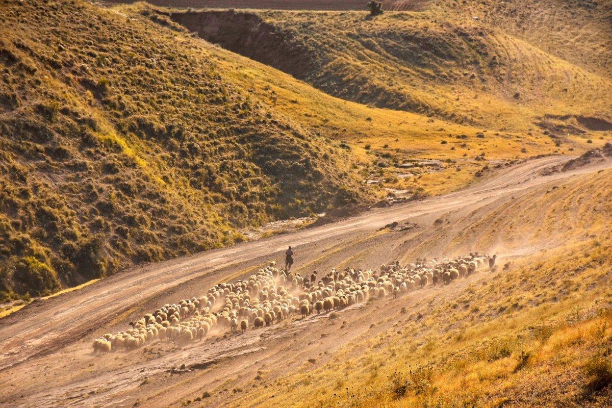 Nemrut Dağı eteklerine tozlu yolculuk