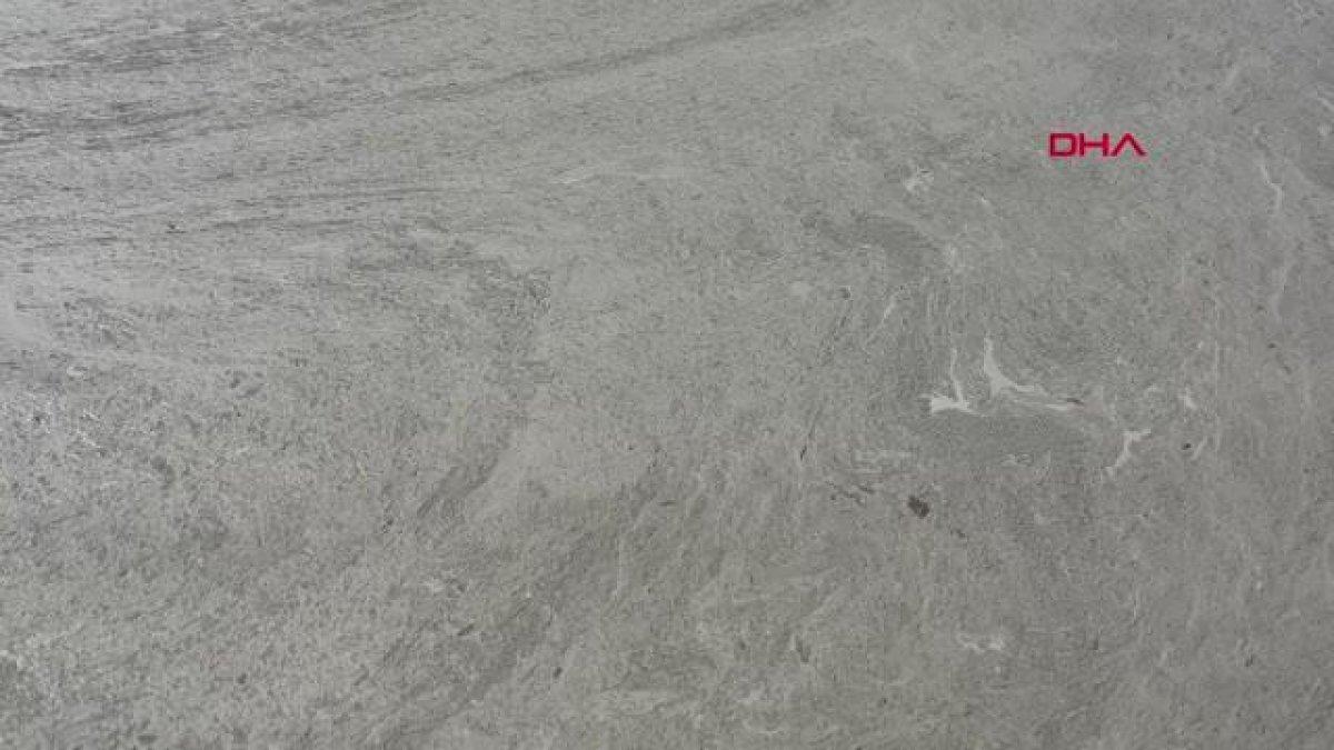 Yalova sahilleri yeniden deniz salyasıyla kaplandı