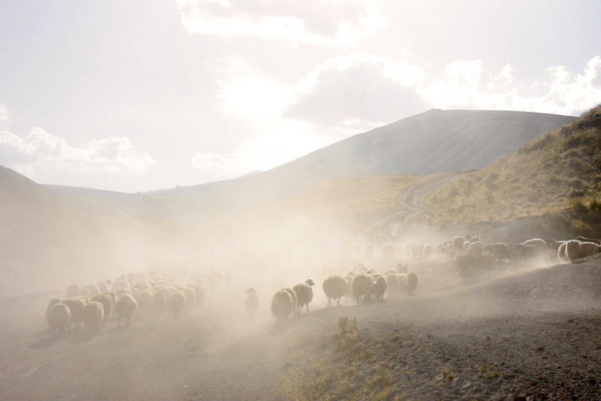 Nemrut Dağı eteklerine tozlu yolculuk