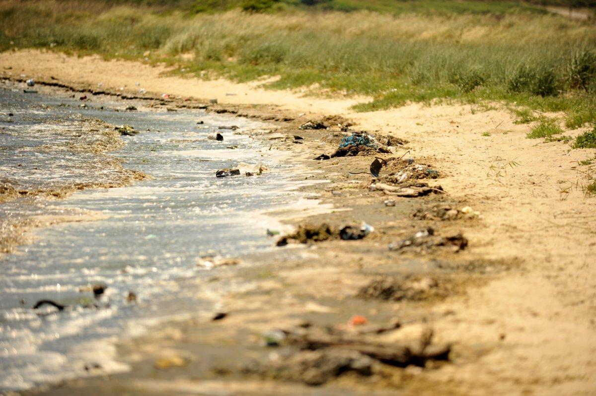 Balıkesir sahillerinde kumların rengi siyaha döndü