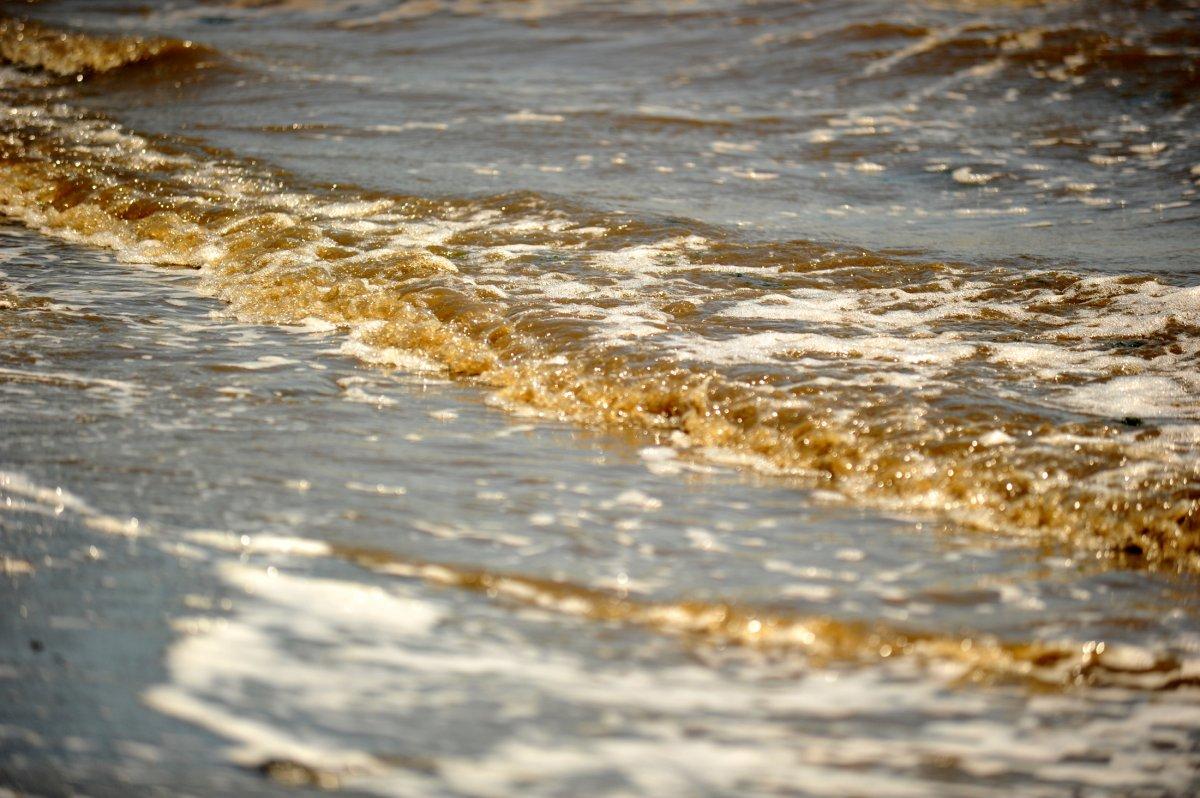 Balıkesir sahillerinde kumların rengi siyaha döndü