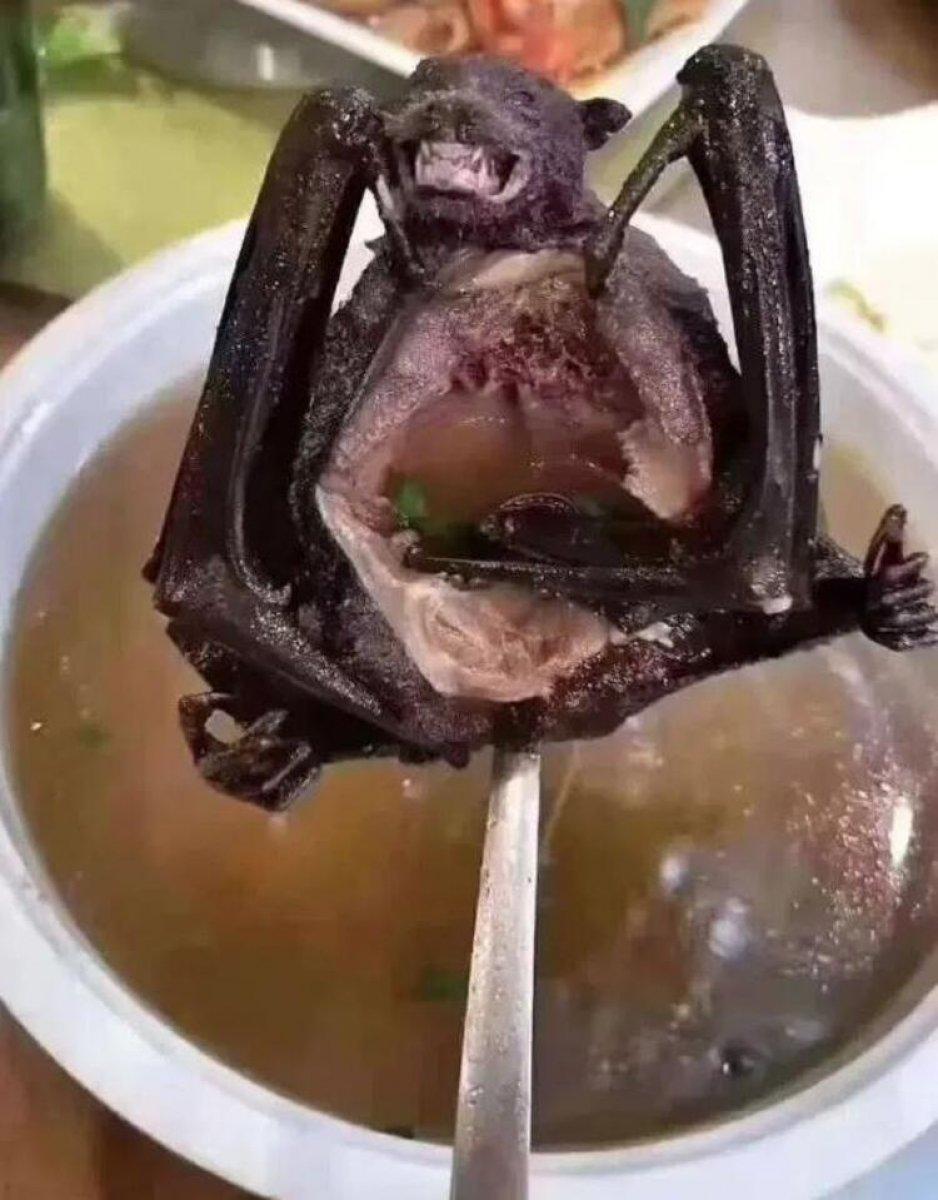 Çin’de, koronavirüse yakın ikinci bir virüs bulundu