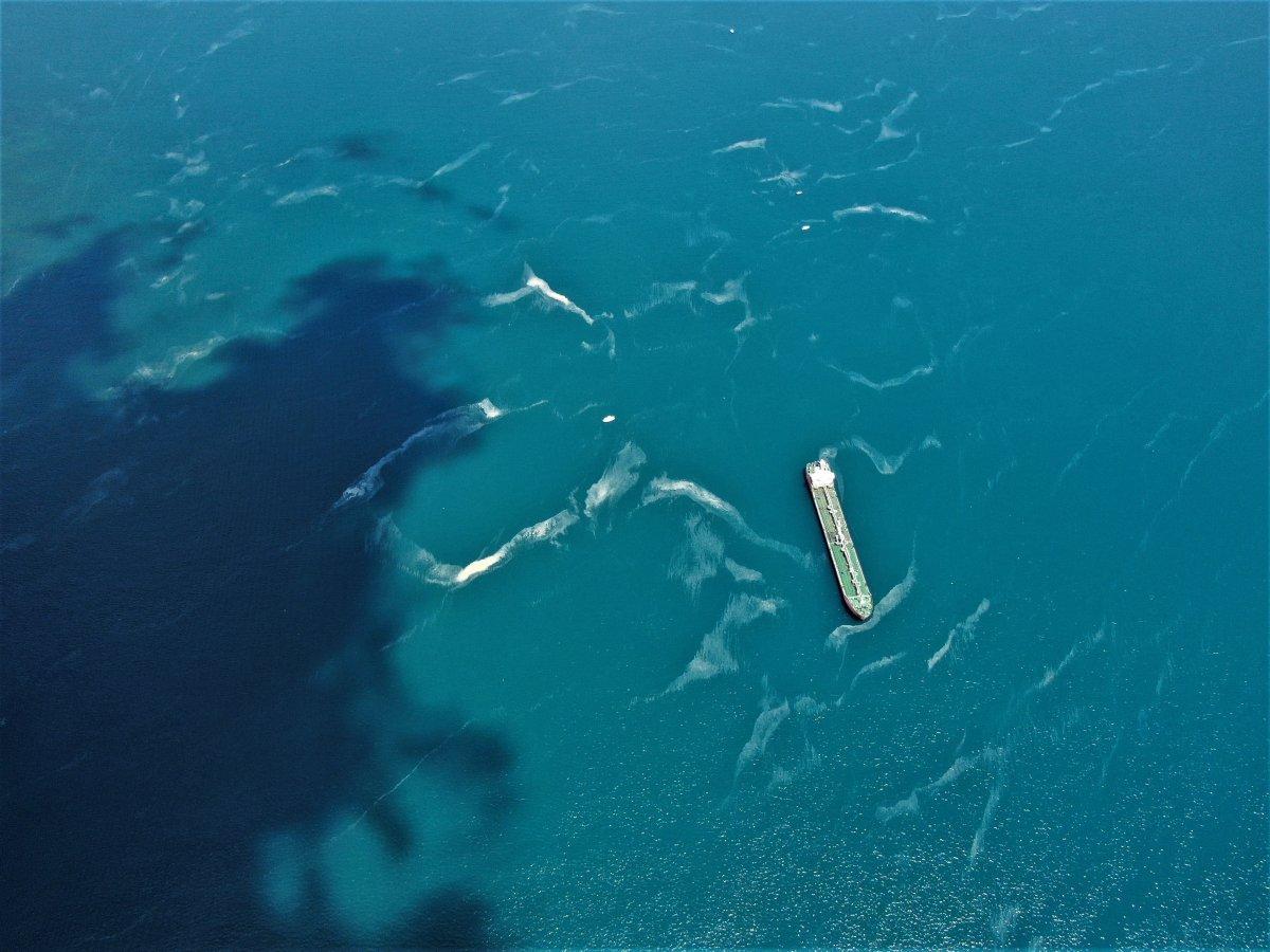 İstanbul sahillerinde kilometrelerce müsilaj hattı