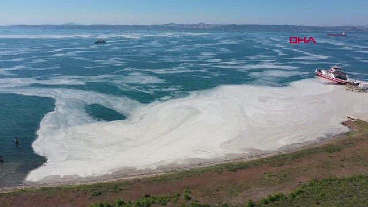 Yalova sahilleri yeniden deniz salyasıyla kaplandı