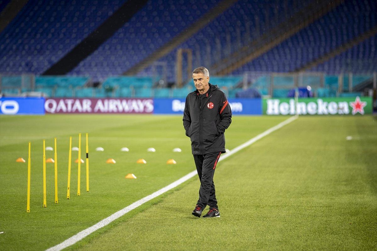 Şenol Güneş: Kazanmak için geldik