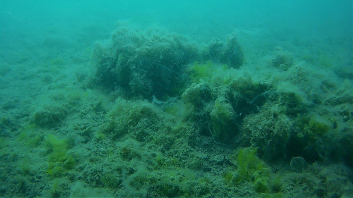İstanbul sahillerinde kilometrelerce müsilaj hattı