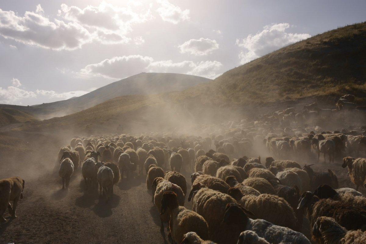 Nemrut Dağı eteklerine tozlu yolculuk