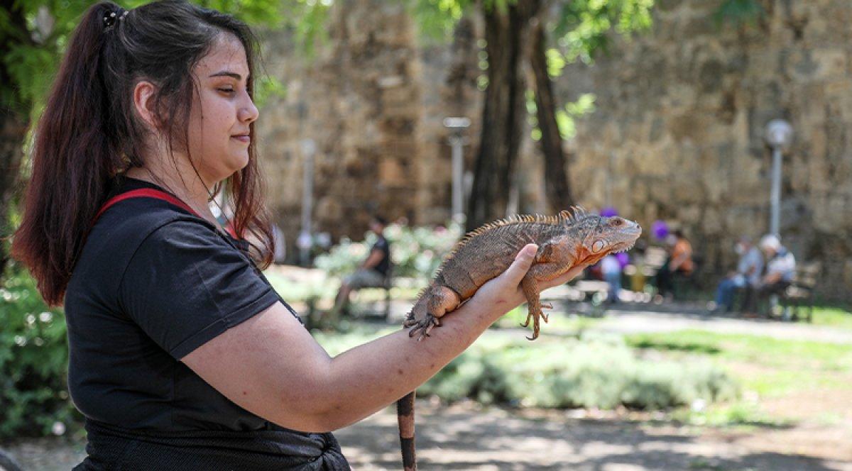 Antalya'da omzunda iguanasıyla şehri geziyor