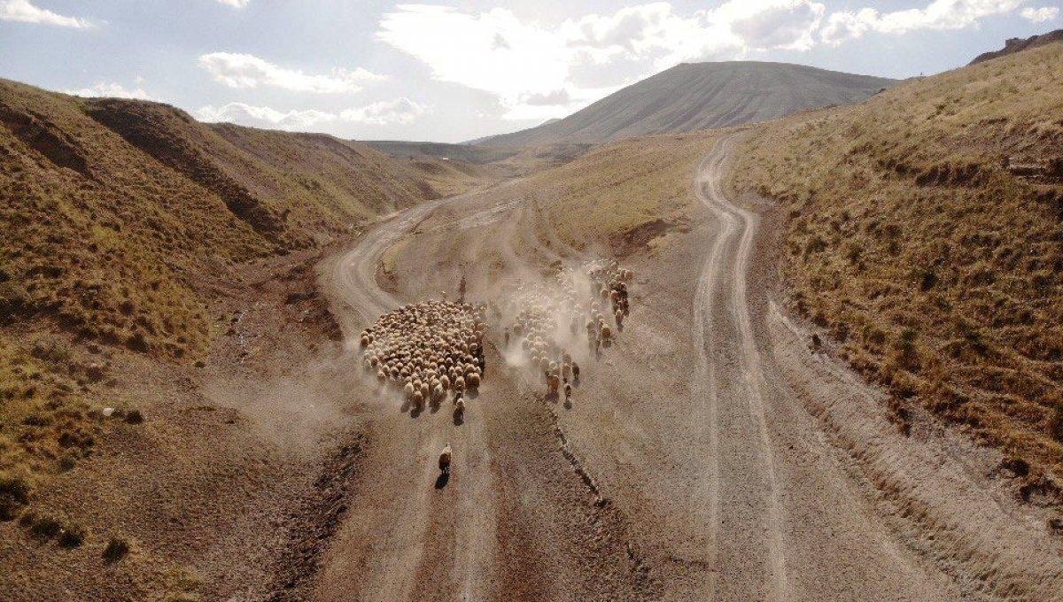 Nemrut Dağı eteklerine tozlu yolculuk