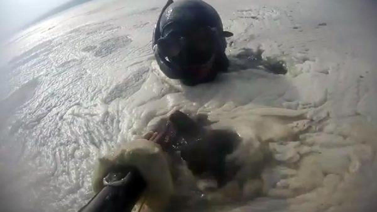 Kocaeli'de müsilajın denizaltındaki tahribatı görüntülendi