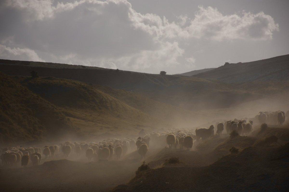 Nemrut Dağı eteklerine tozlu yolculuk