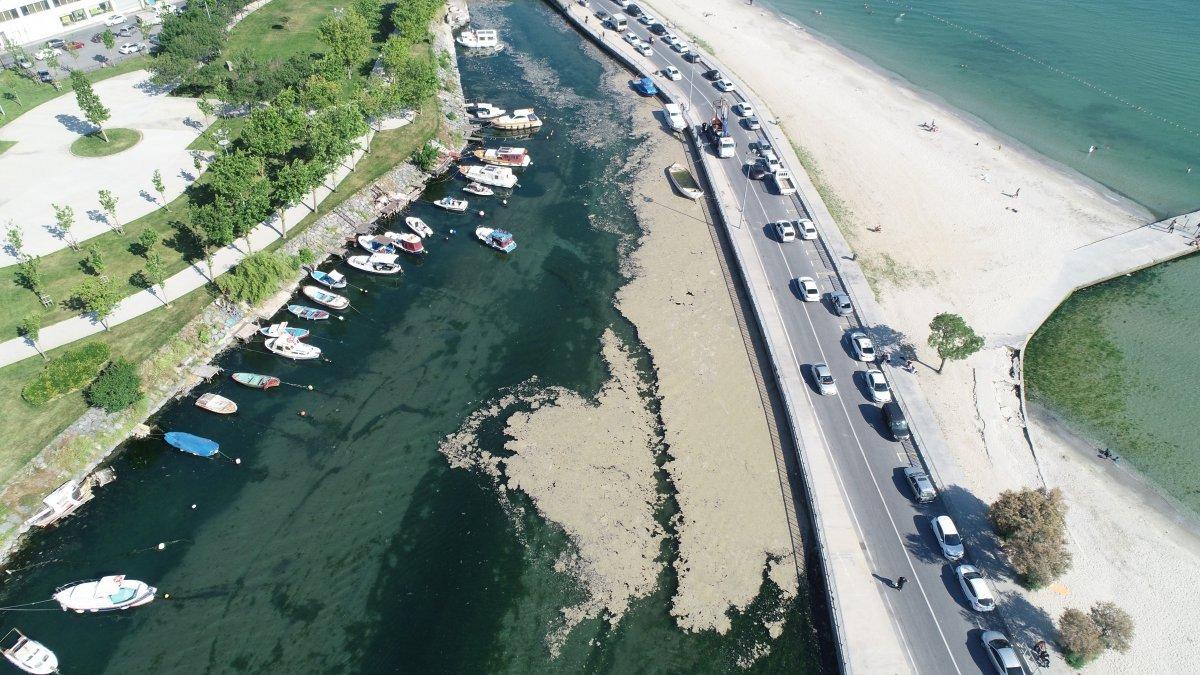 Müsilajın sağlığa etkileri