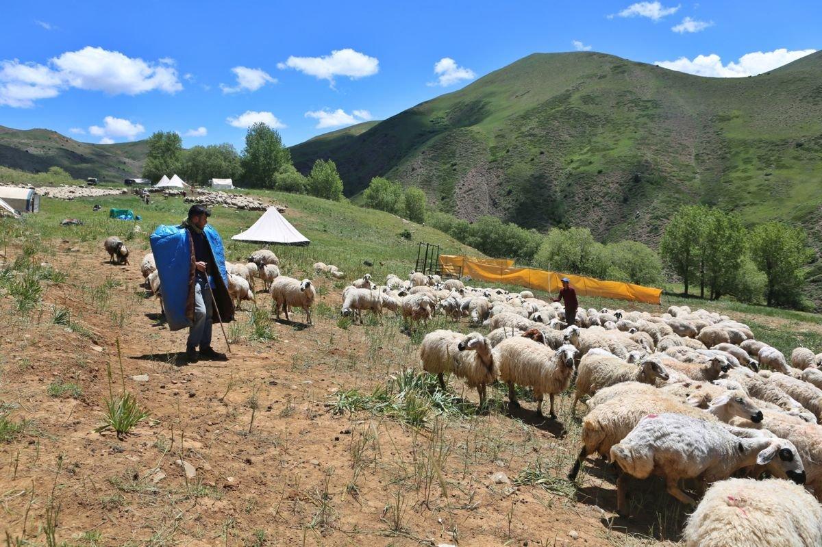 Hollanda Büyükelçiliği, Tuncelili Mahir için devrede