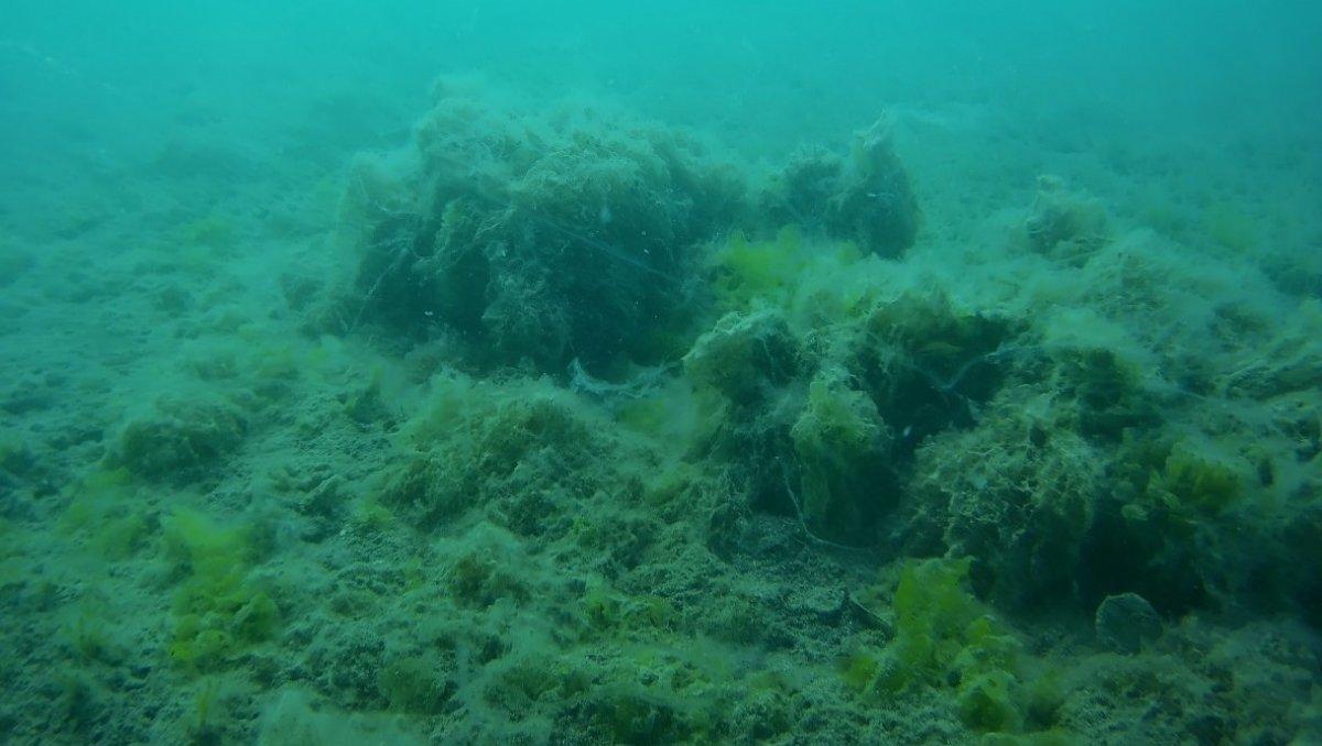 Müsilajın sağlığa etkileri