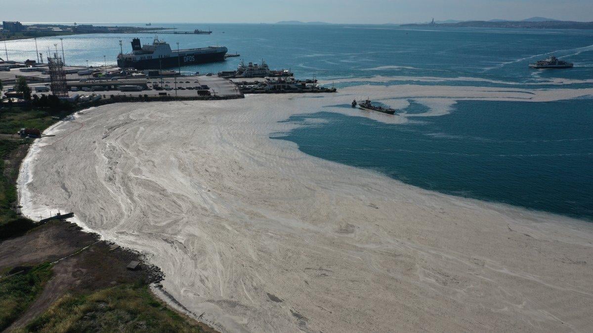 Yalova’da müsilaj temizliği 353 metreküpe ulaştı