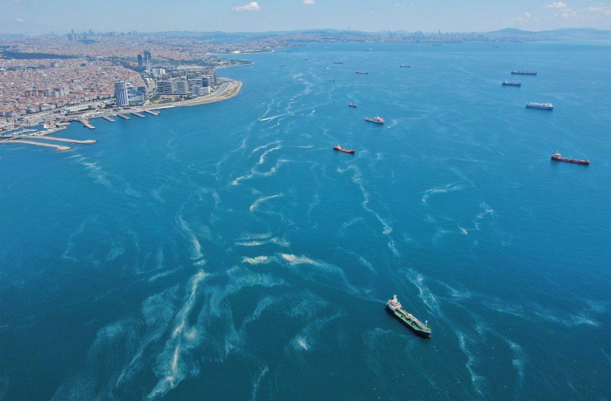 İstanbul sahillerinde kilometrelerce müsilaj hattı