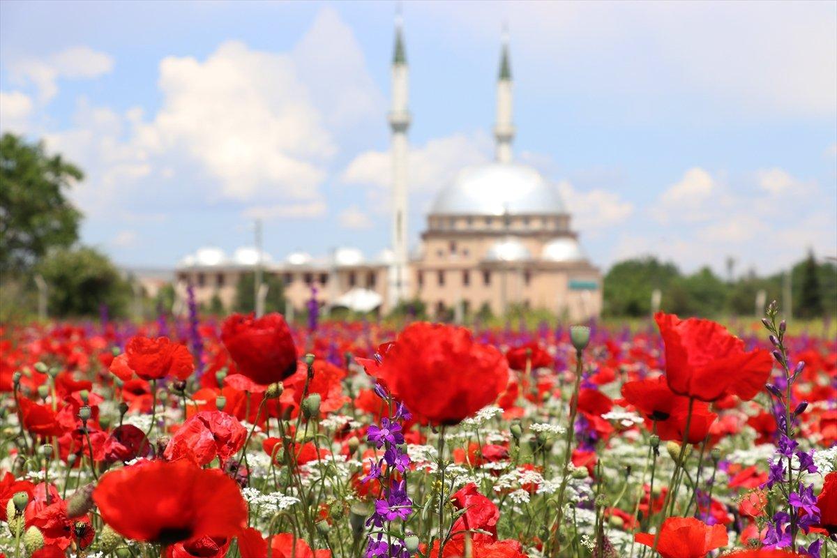 Kütahya'da görsel şölen