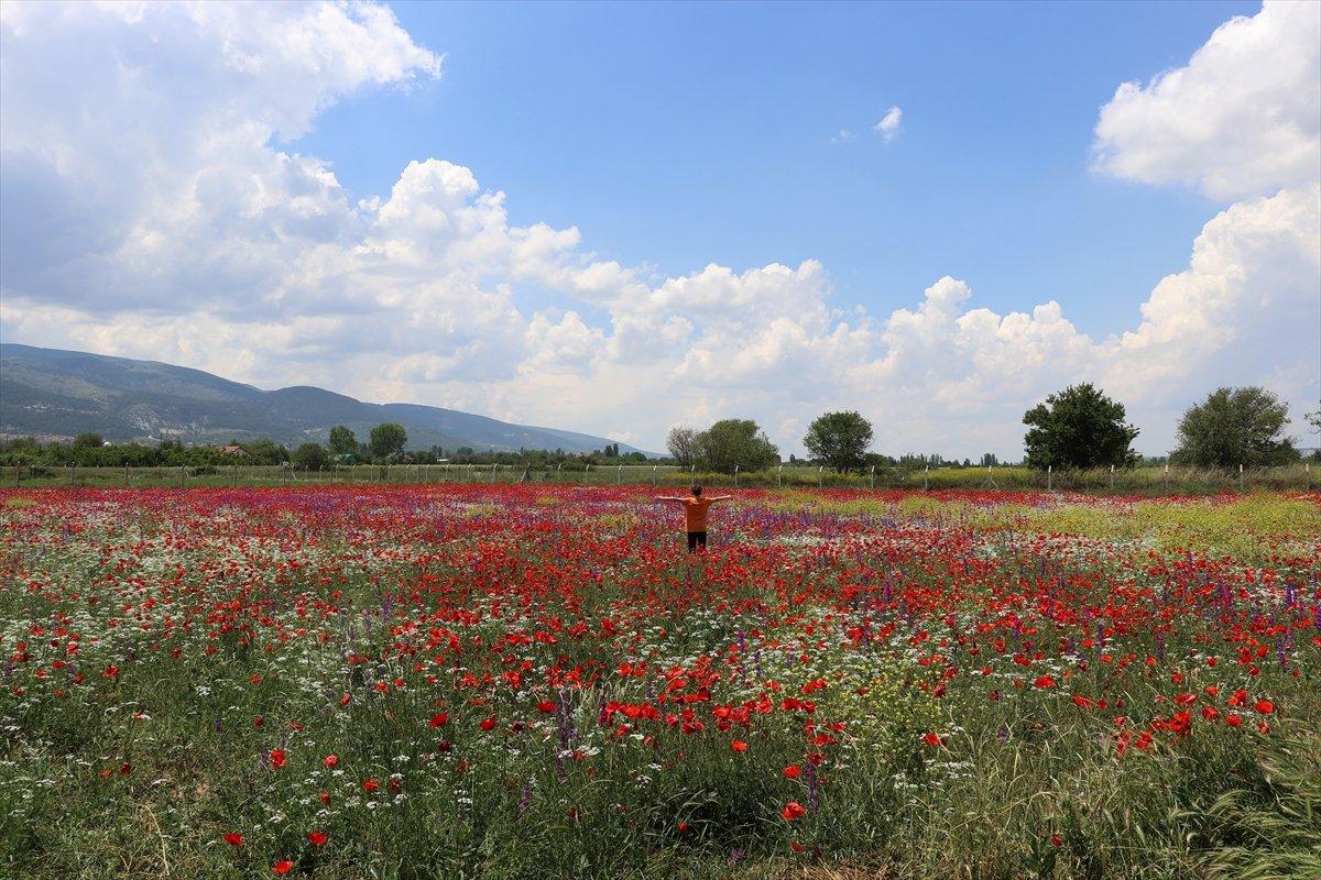 Kütahya'da görsel şölen