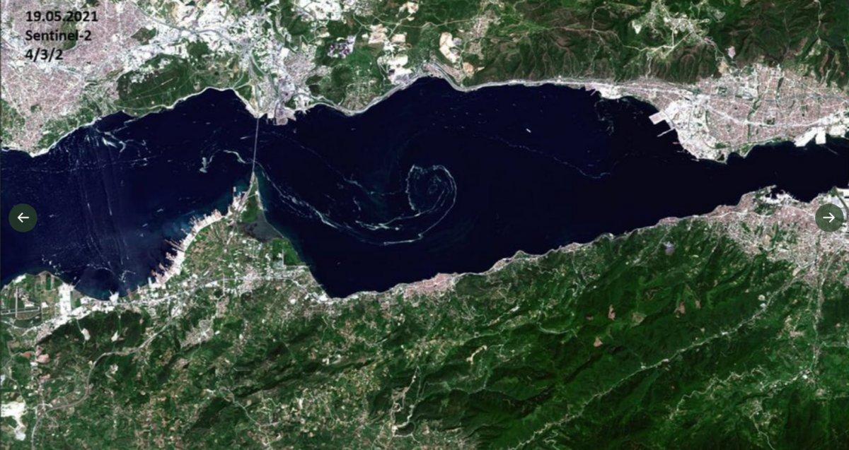 Fuat Oktay, müsilaj sorunu ile ilgili açıklama yaptı