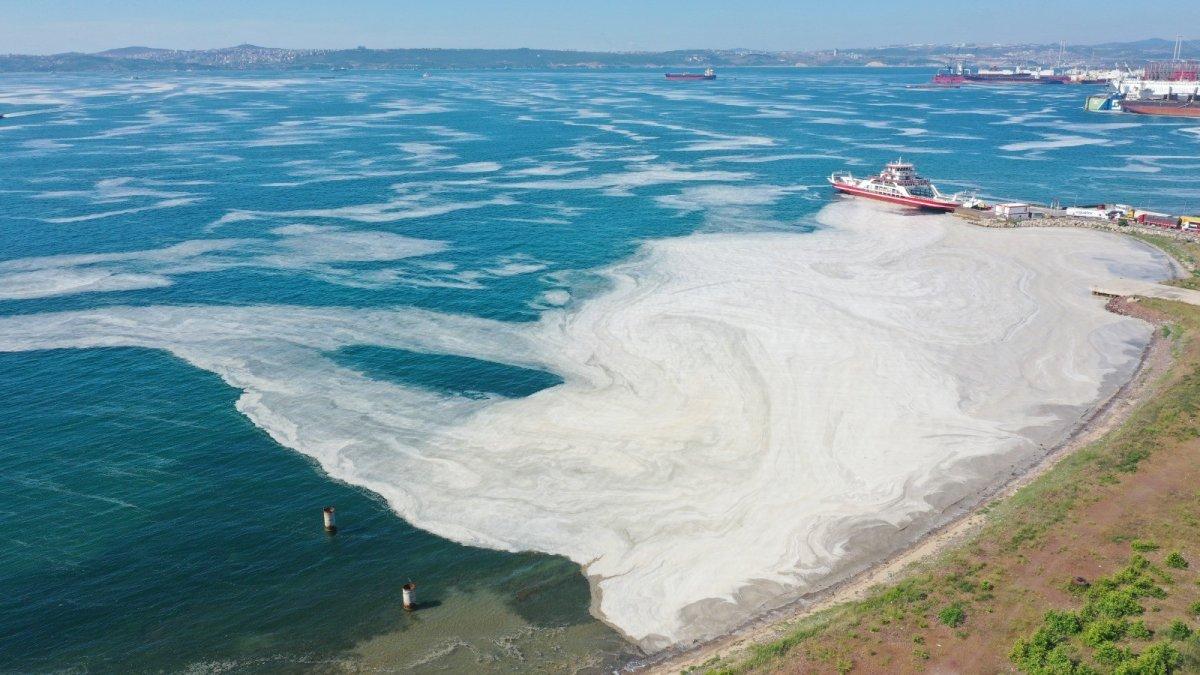 Müsilaj Meclis araştırma komisyonu kararı Resmi Gazete'de