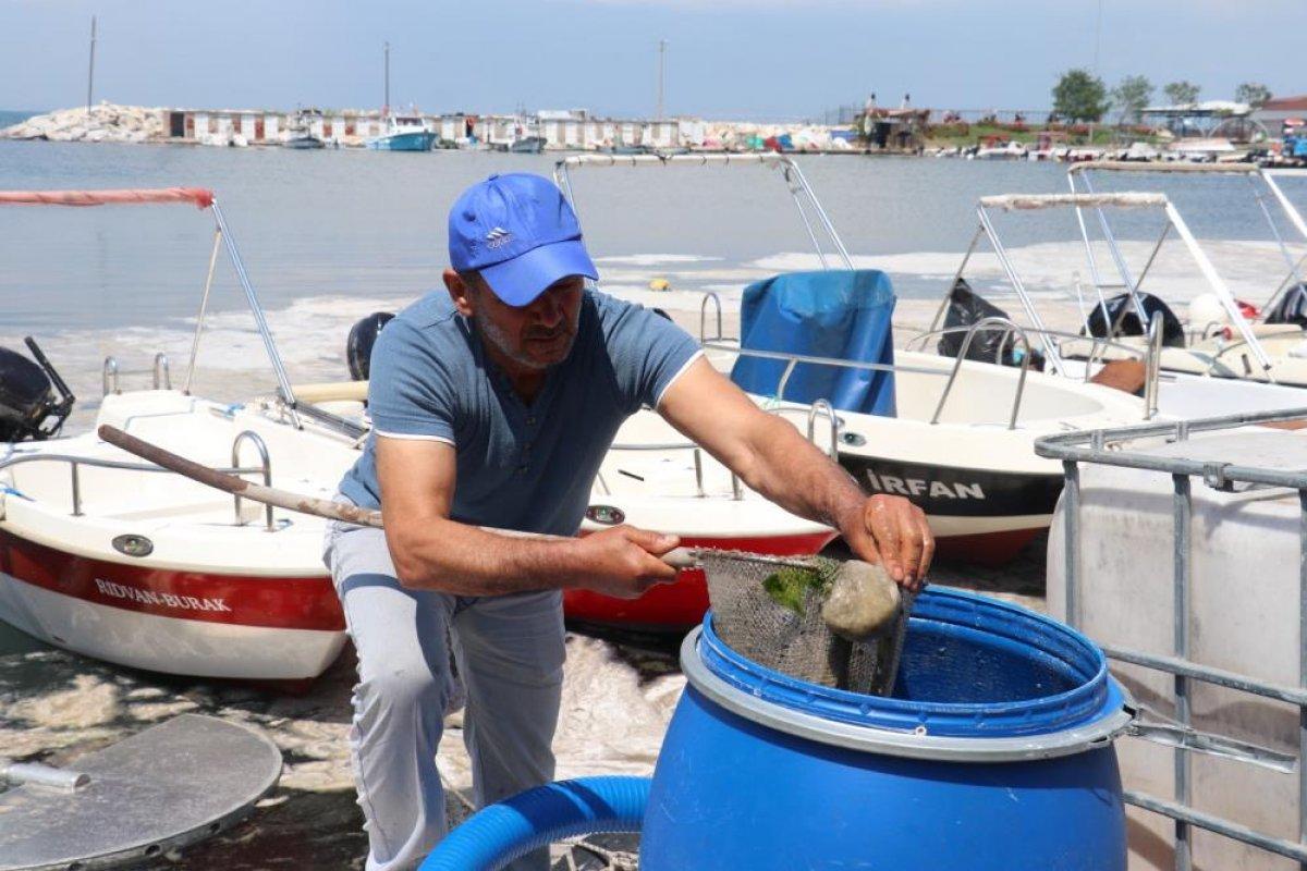 Yalova'da müsilaj temizliği 169 metreküpe ulaştı