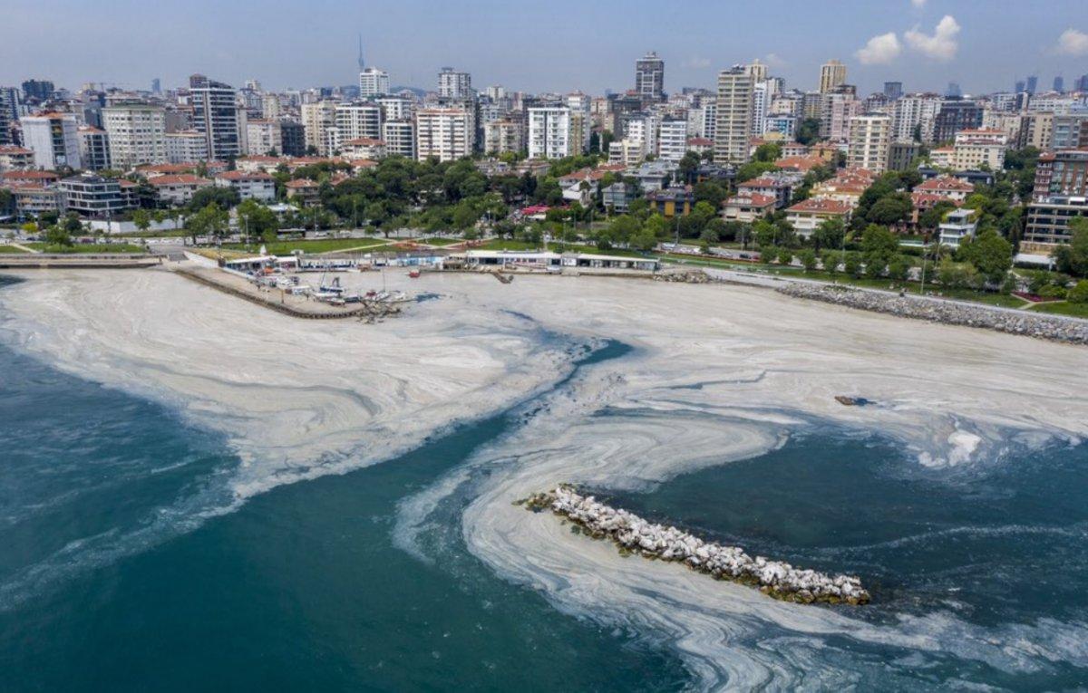 Fuat Oktay, müsilaj sorunu ile ilgili açıklama yaptı