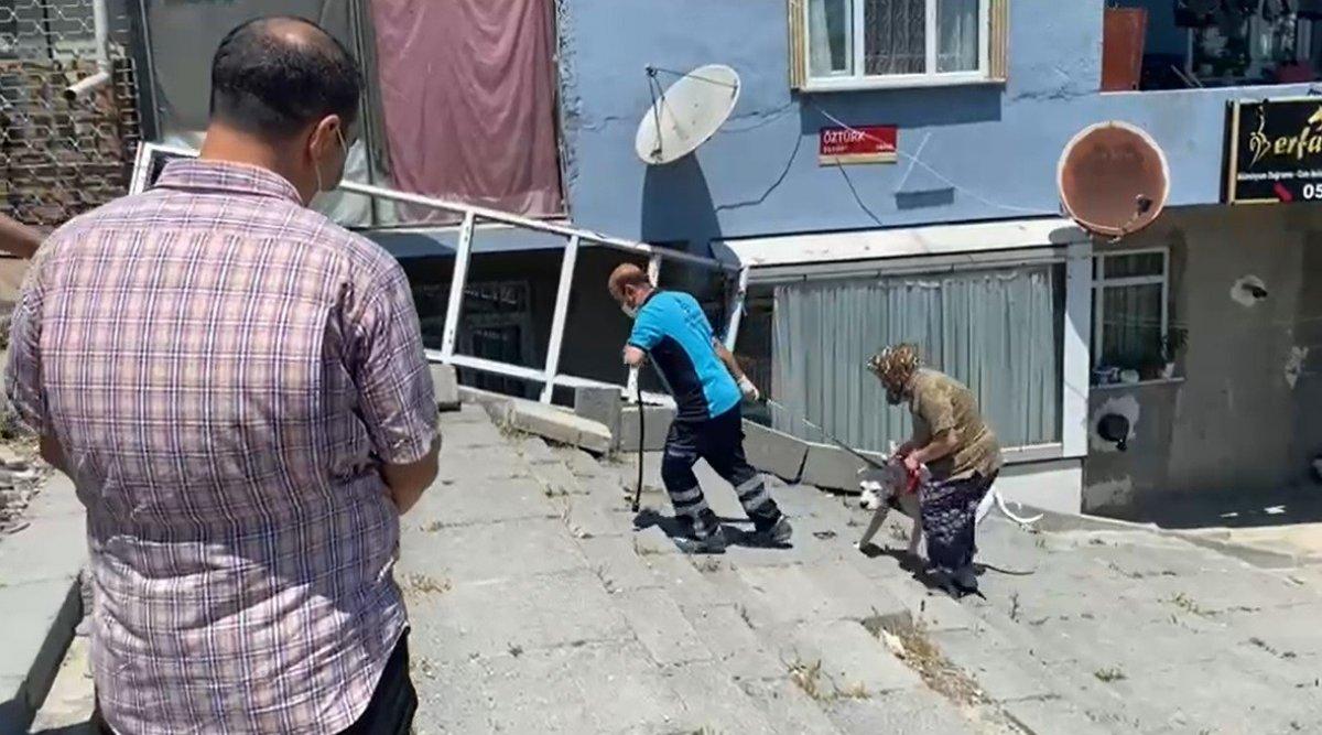 Başakşehir’de 16 yaşındaki kıza pitbull saldırısı kamerada