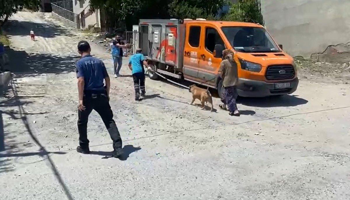 Başakşehir’de 16 yaşındaki kıza pitbull saldırısı kamerada