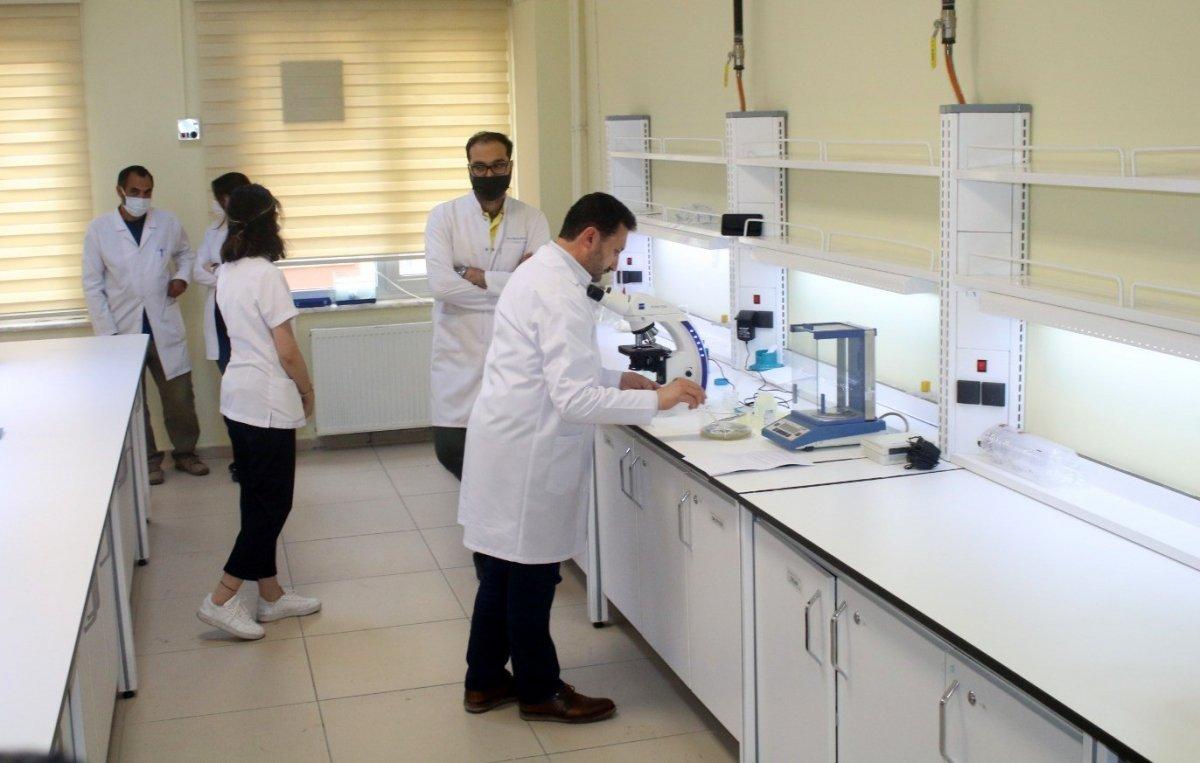 Müsilajdan kozmetik jel ve krem yapılacak