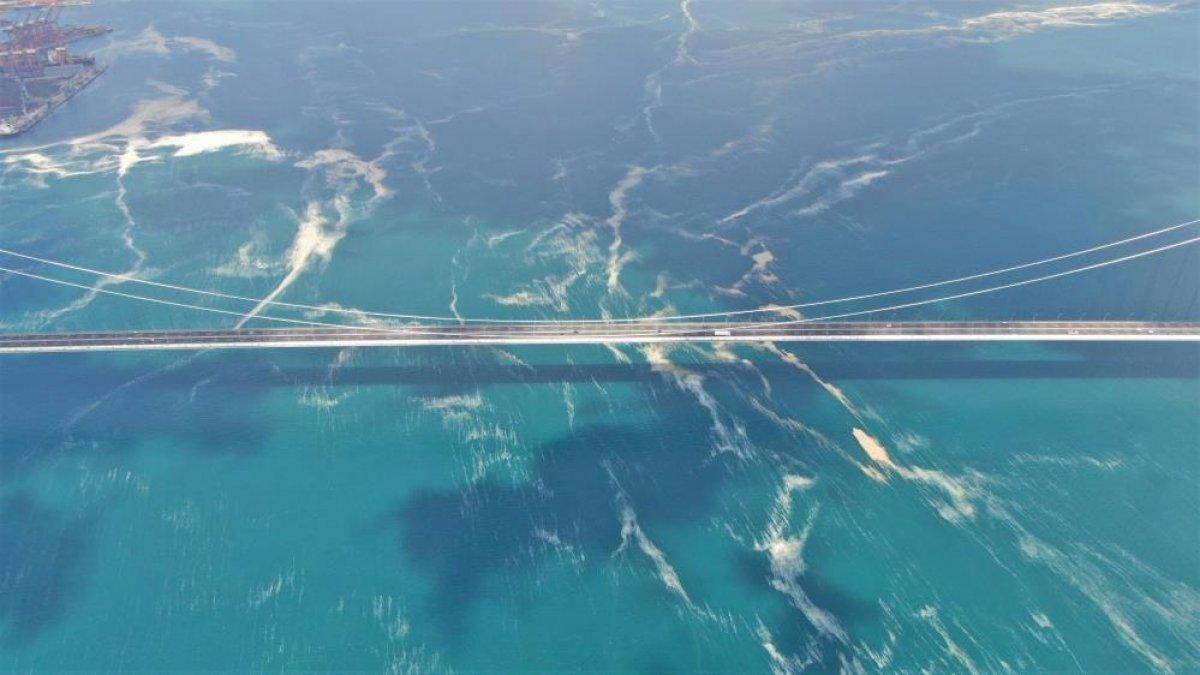 Osmangazi Köprüsü’nün etrafını deniz salyası sardı