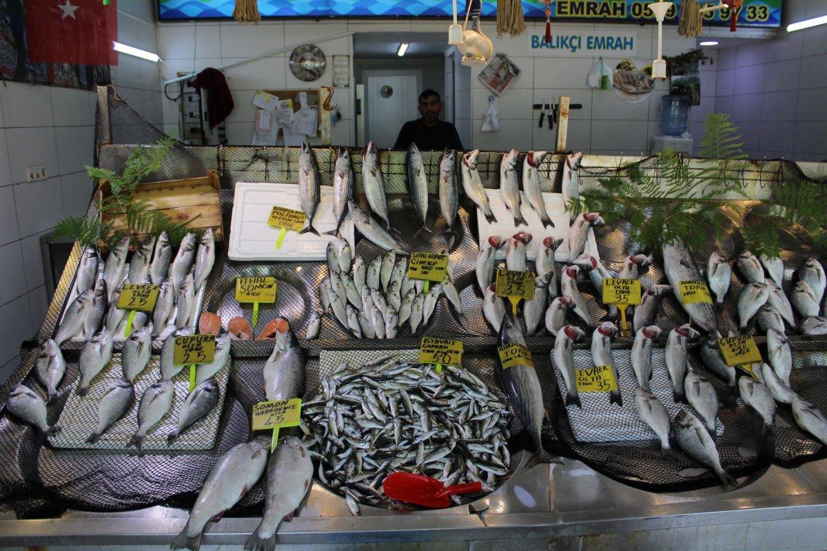 İzmit’te müsilaj, müşterinin ayağını balık pazarından kesti