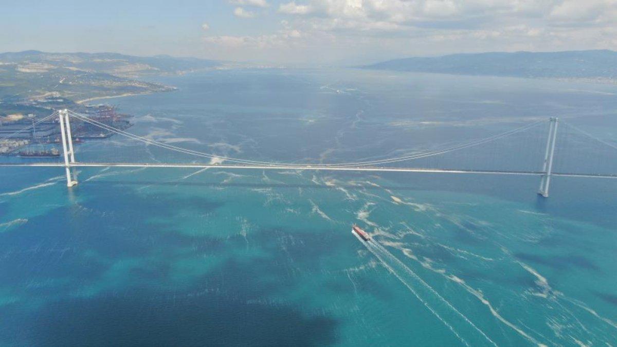 Osmangazi Köprüsü’nün etrafını deniz salyası sardı