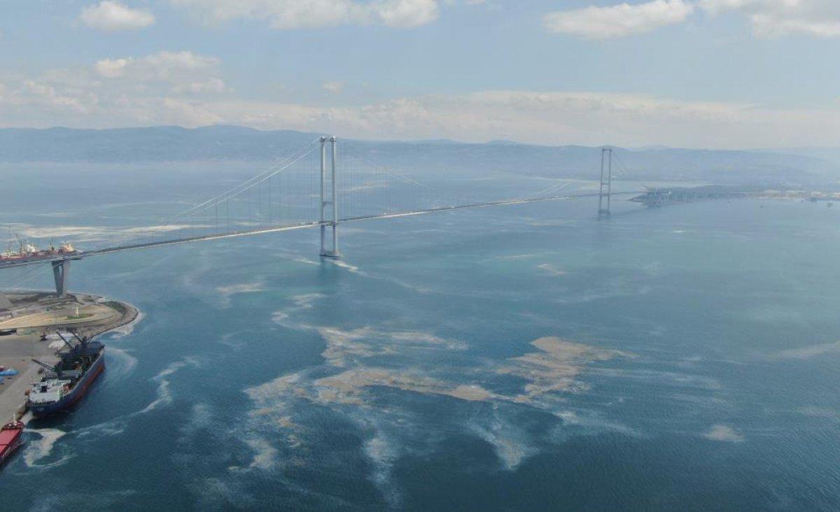 Osmangazi Köprüsü’nün etrafını deniz salyası sardı