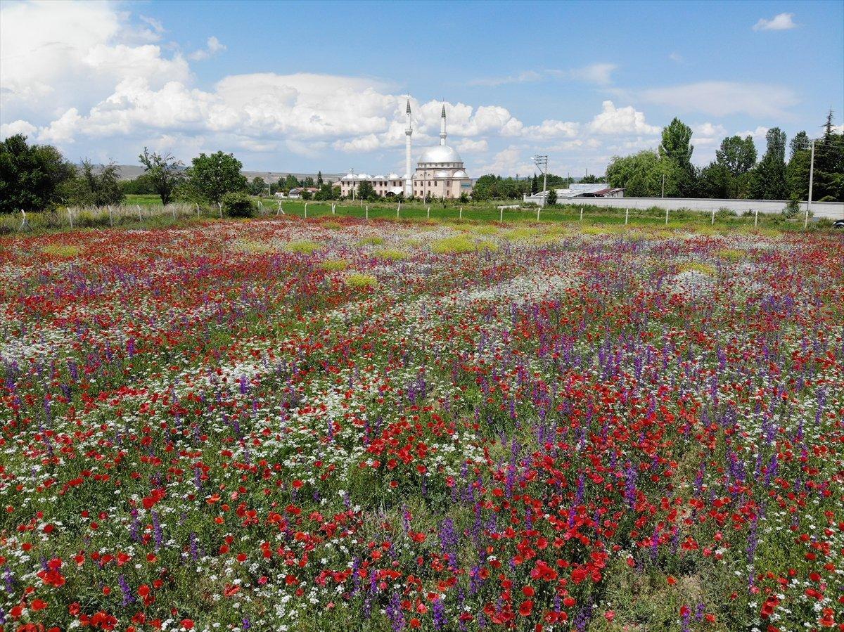 Kütahya'da görsel şölen