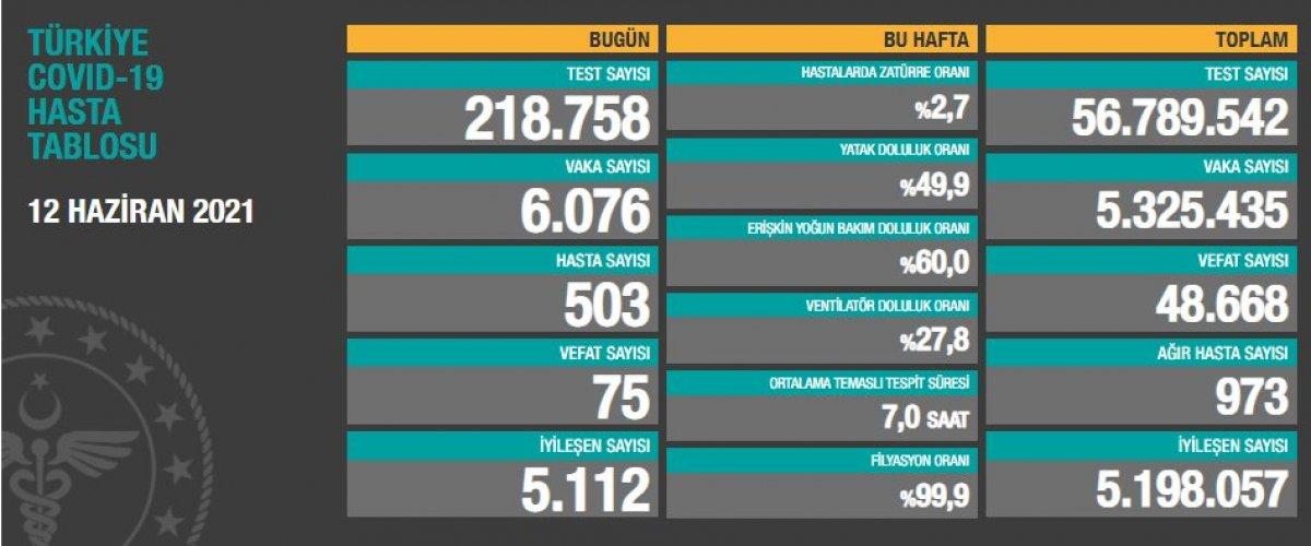12 Haziran Türkiye'de koronavirüs tablosu